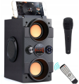 z MIC.png