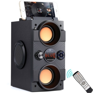 Feegar Dance Głośnik Bluetooth 5.0 30W RADIO AUX 