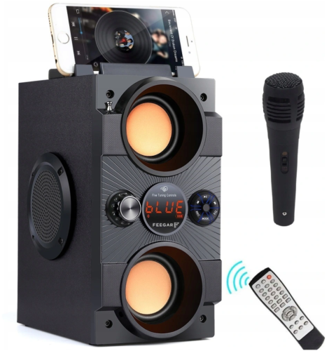 z MIC.png